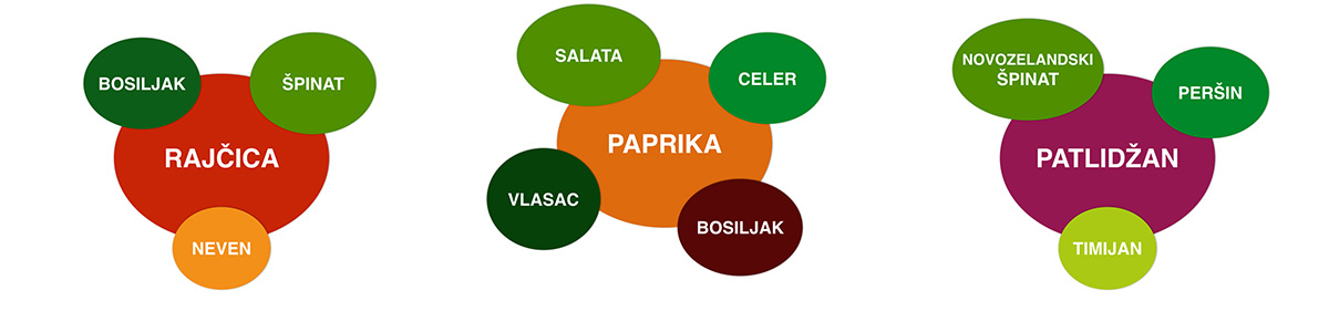 kombinacije-plodovitog-bilja-s-korisnim-biljkama-plantella-domnakvadrat