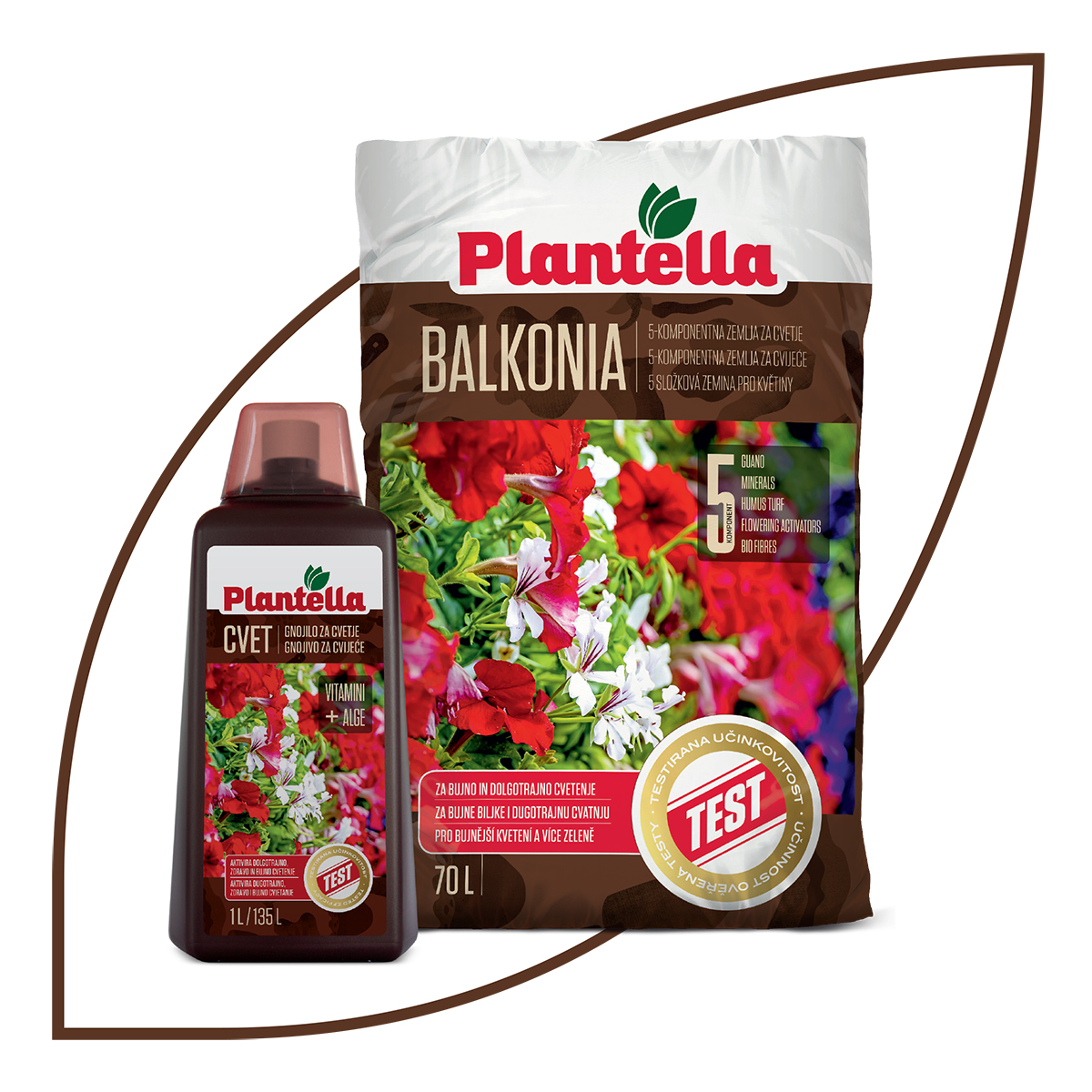 plantella-Balkonia-cvet-domnakvadrat