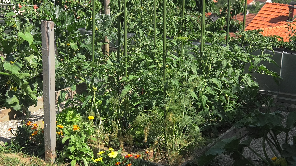 bio-plantella-odrzavanje-bio-vrta-domnakvadrat