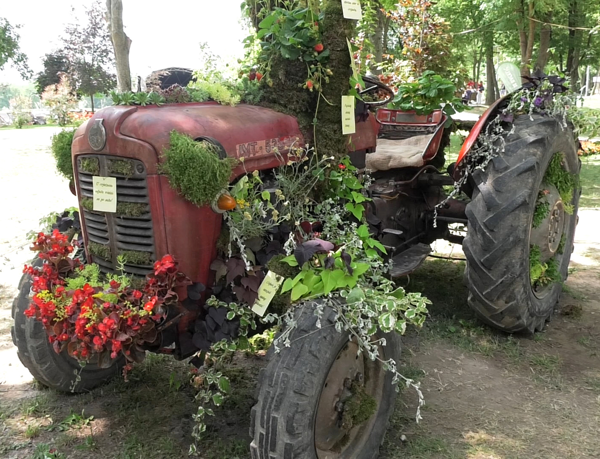 floraart-2018-cvjetni-traktor-domnakvadrat