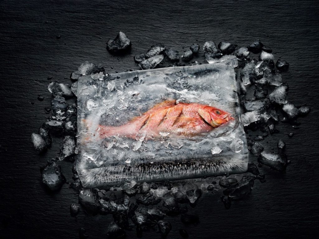 Dramatična ilustracija načina na koji je Dialog pećnica revolucionirala kuhanje - riba ugrađena u blok leda: riba u središtu kuha se bez topljenja leda.