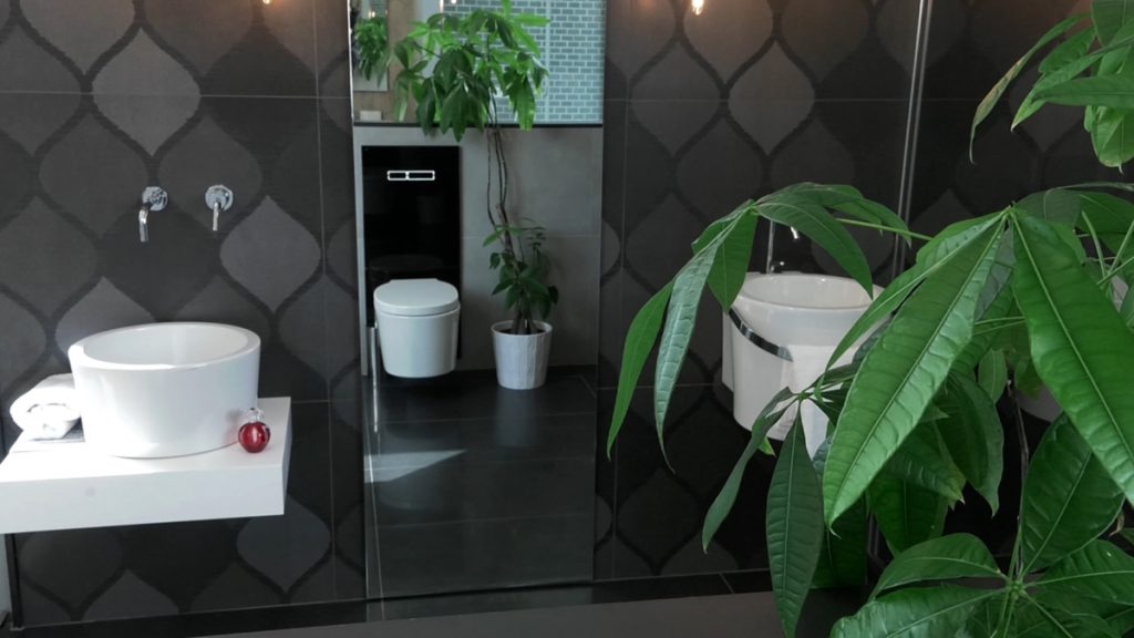 kupaonica-crna-biljke-petrokov-domnakvadrat