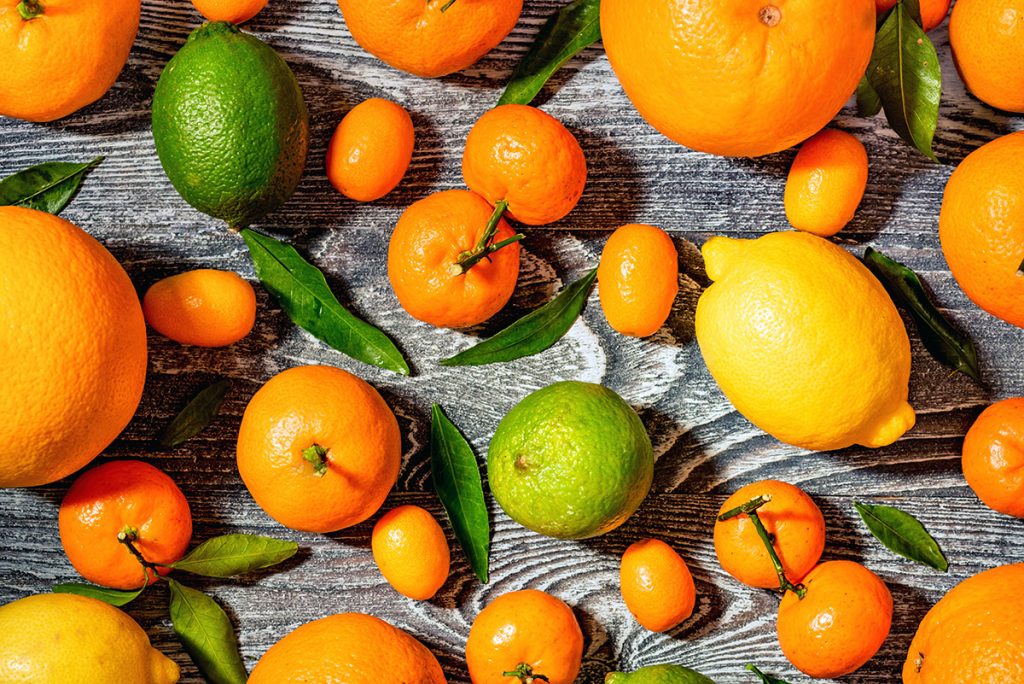 citrusi-razni-domnakvadrat