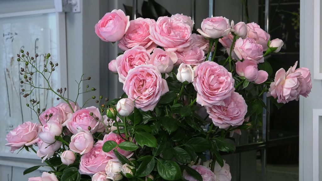 viktorijanske-ruže-jesenski-aranžman-saša-šekoranja-domnakvadrat