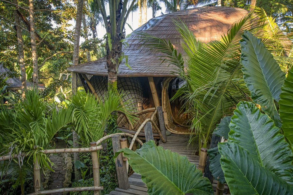 tree-house-ulaz-bambus-domnakvadrat