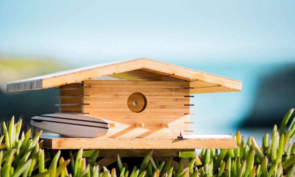 Birdhouse_Kauai_House_dom_2