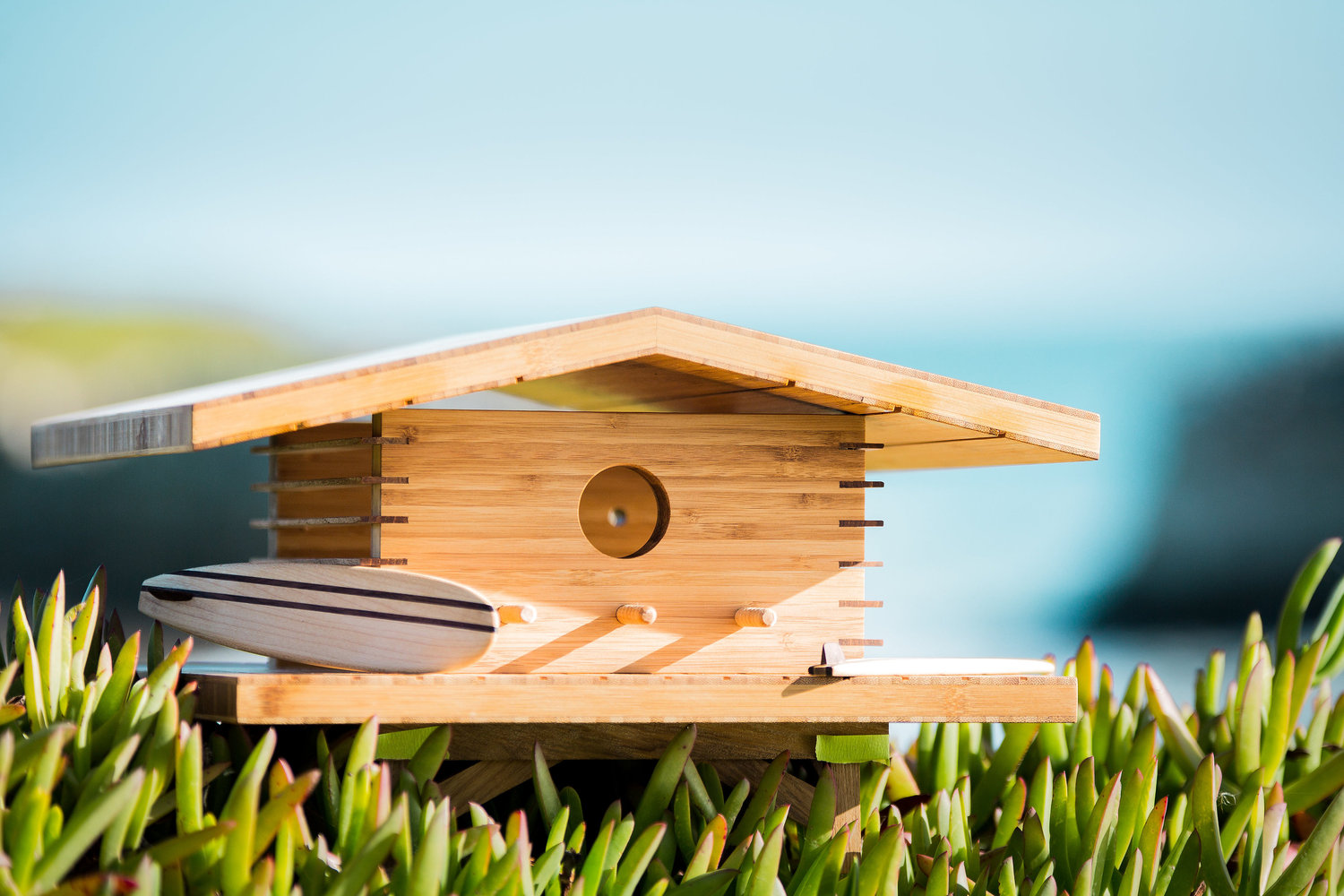 Birdhouse_Kauai_House_dom_2