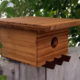 Birdhouse_Japanese_Tea_House_dom_2