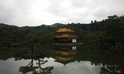 tradicionalna-japanska-arhitektura-andrea-knez-domnakvadrat