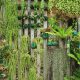 vertikalni-vrt-razne-biljke-domnakvadrat