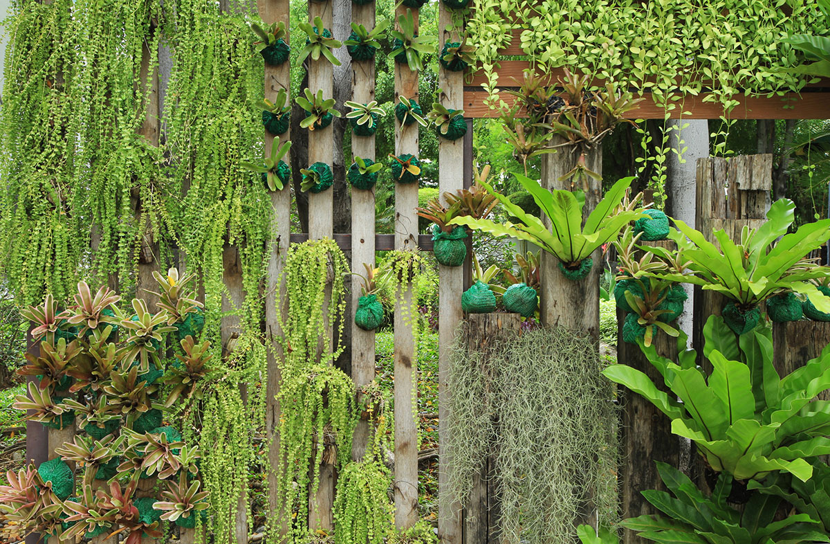 vertikalni-vrt-razne-biljke-domnakvadrat