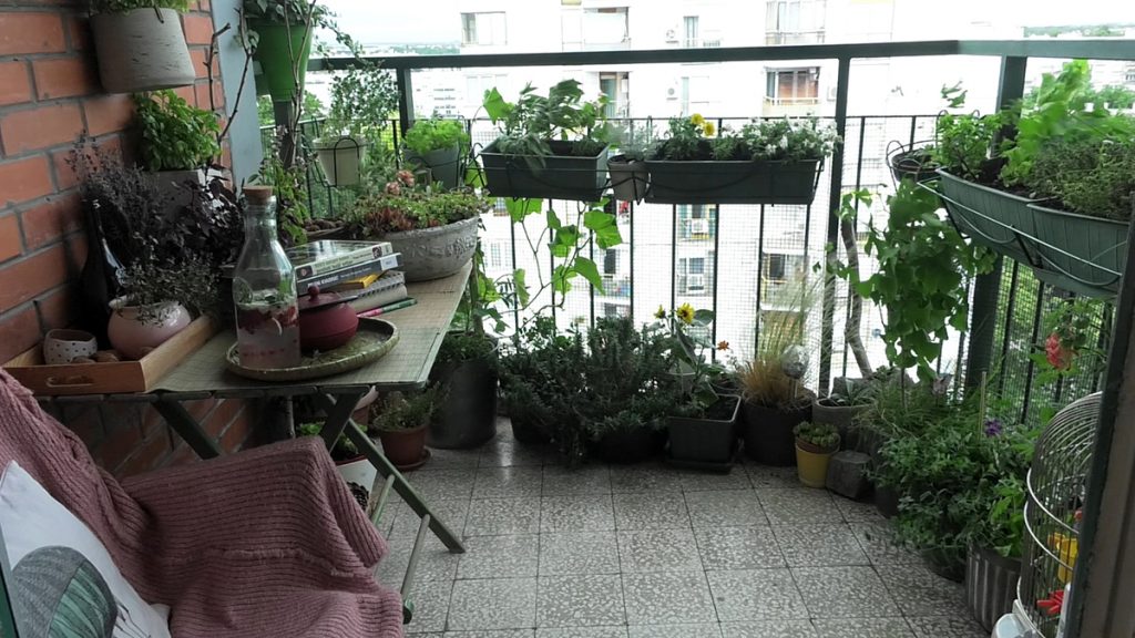 cvijeće-bilje-tegle-mini-balkon-domnakvadrat
