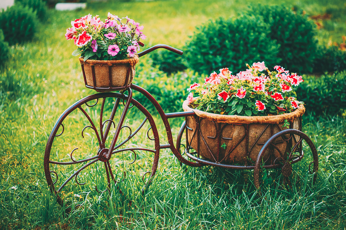 bicikl-cvijeće-domnkvadrat