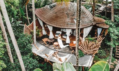 tree-house-džungla-domnakvadrat