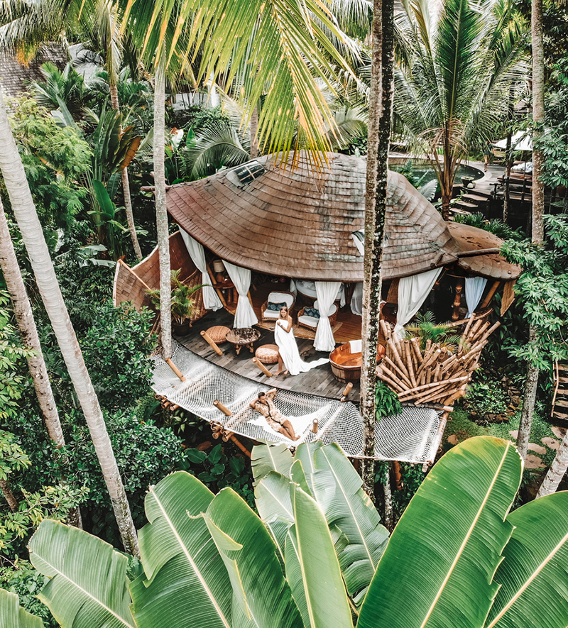 tree-house-džungla-domnakvadrat