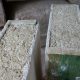 hempcrete-bioblok-domnakvadrat