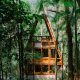 monkey-house-brazil-šuma-domnakvadrat