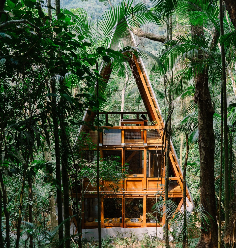 monkey-house-brazil-šuma-domnakvadrat