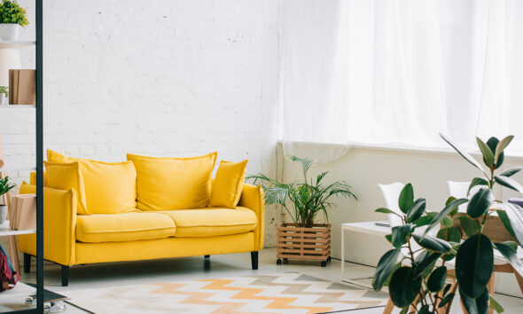 žuta-sofa-domnakvadrat