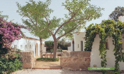 borja-ferrater-pavillion-menorca-domnakvadrat