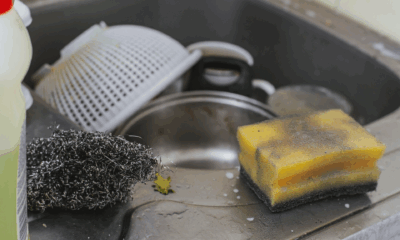 Najprljavija mjesta u kućanstvu