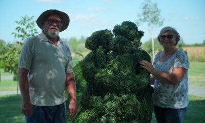 topiary park