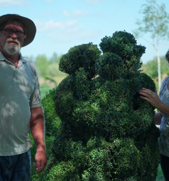 topiary park