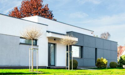 mosaiktop fasada na bijelo sivoj kući