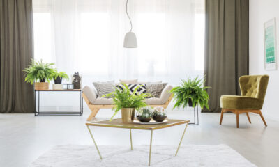 modern living room with green chair and curtain