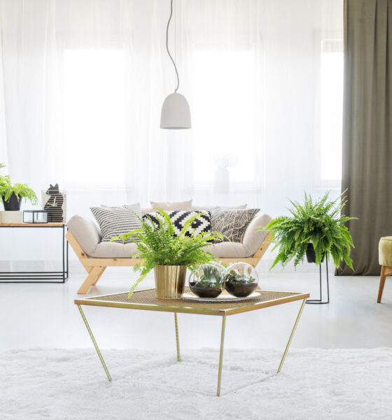 modern living room with green chair and curtain