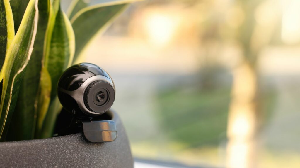 skrivena sigurnosna kamera u loncu s biljkom