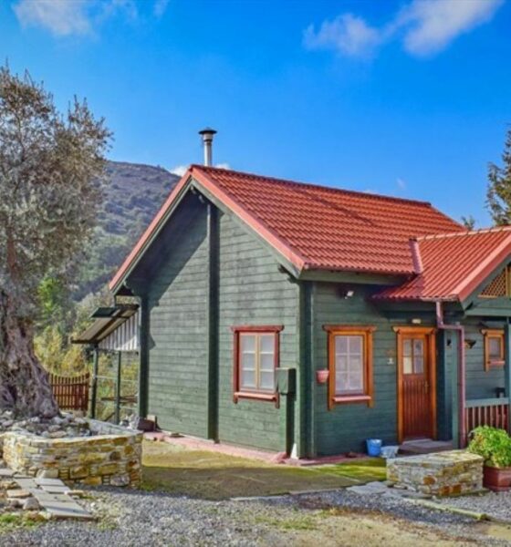 zaštita vikendice kada niste tamo - zelena drvena vikendica okružena zelenilom