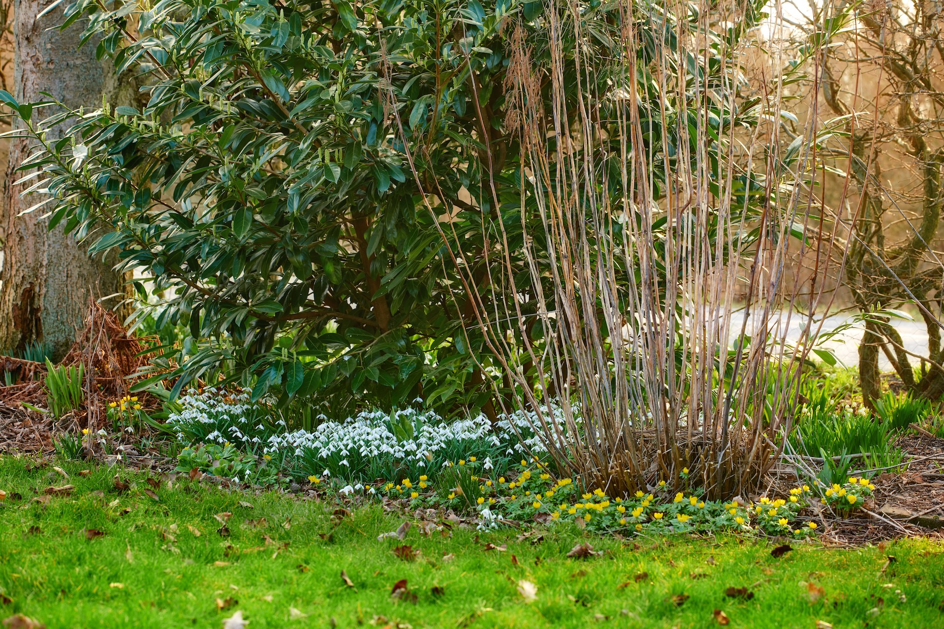 Priprema vrta za proljeće