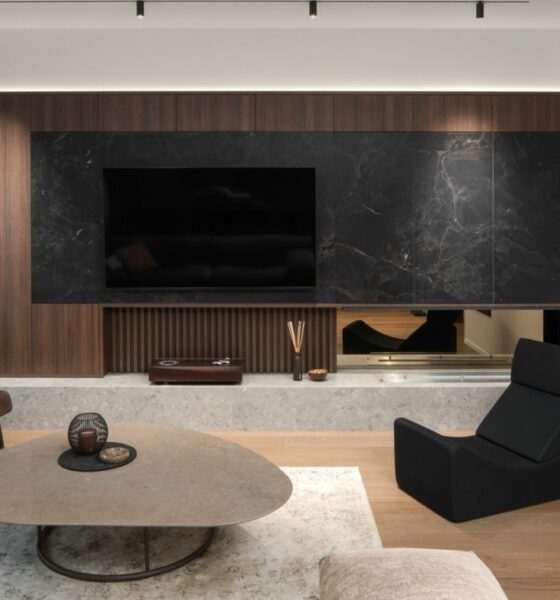 moderan muški stan u tamnim nijansama iqon studio