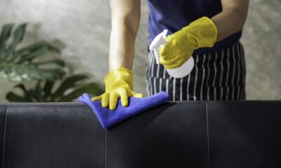 kako očistiti kožni kauč