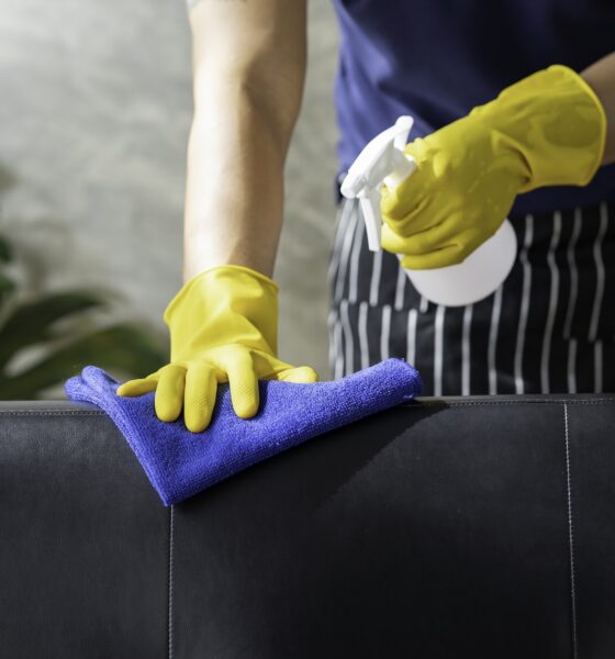 kako očistiti kožni kauč