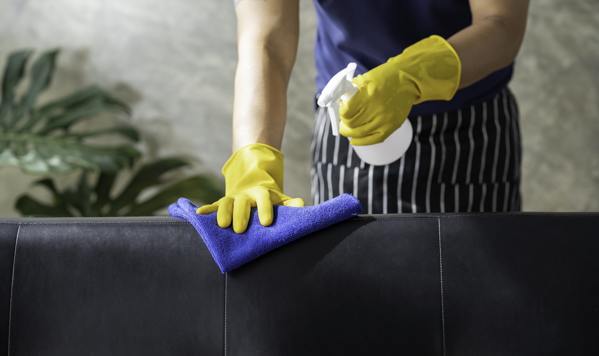 kako očistiti kožni kauč