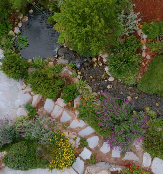 trendovi u uređenju vrtova