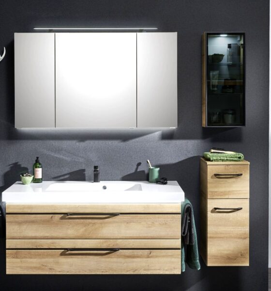 tamna kupaonica sa dvrenim ormarićima ogledalom i biljkom lesnina