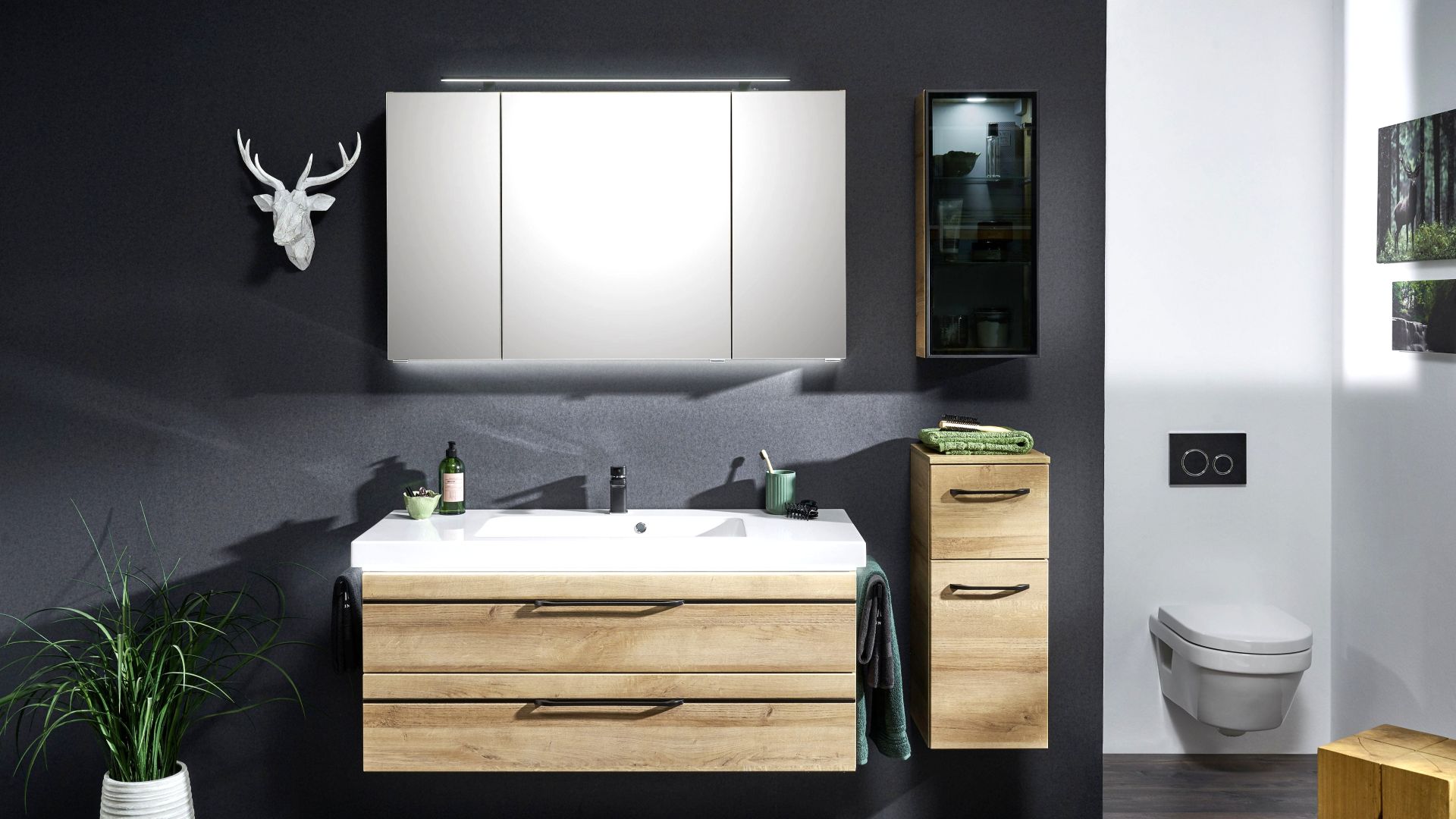 tamna kupaonica sa dvrenim ormarićima ogledalom i biljkom lesnina