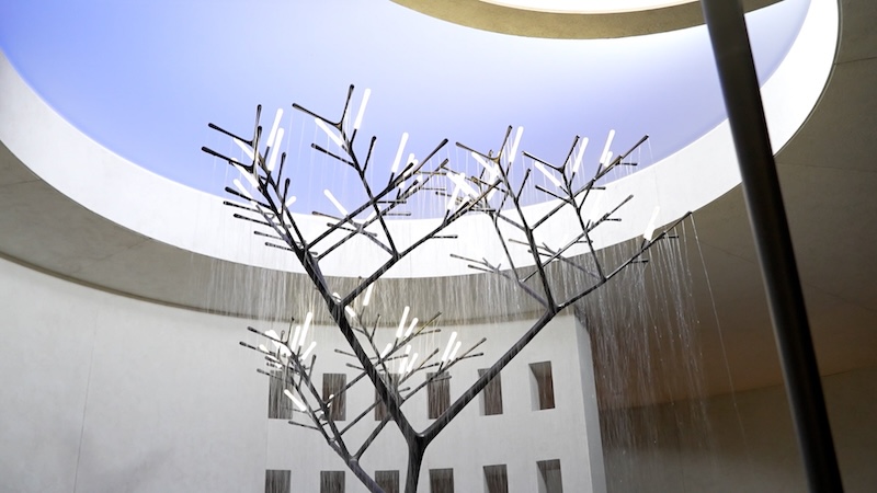 aquatree grohe