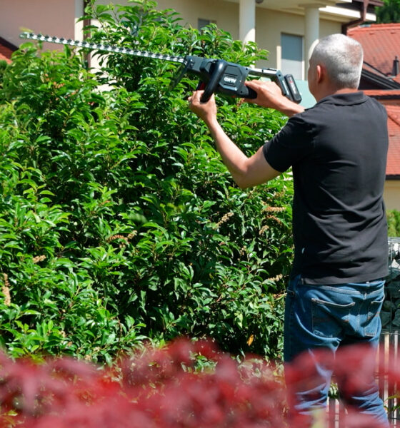 muškarac obrezuje živicu akumulatorskim škarama AL-KO