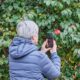 Starija žena mobitelom fotografira crveni cvijet kamelije kako bi prepoznala biljku