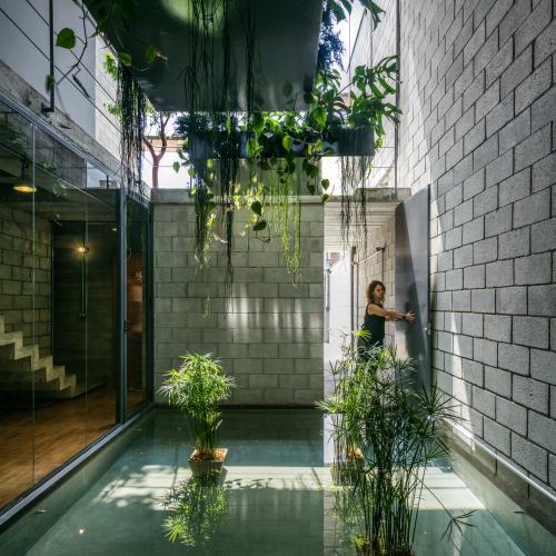biljke-hodnik-interijer-brazil-domnakvadrat